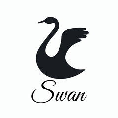 Flying swan