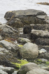Low Tide