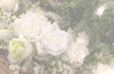Beautiful flower background / wallpaper made with color filters effect.