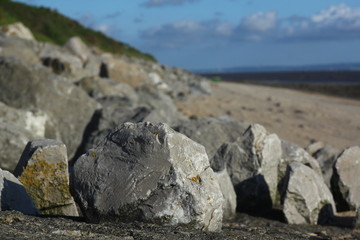 Limestone Rocks on Beach at dawn