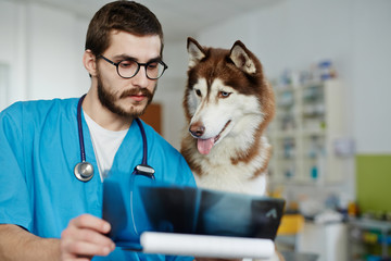 Confident veterinarian and his patient looking at x-ray result