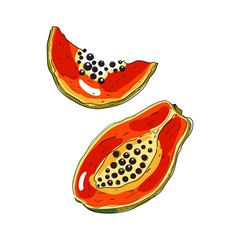 Papaya fruit and a half. Isolated objects. Hand drawn vector illustration on white background. Healthy food.