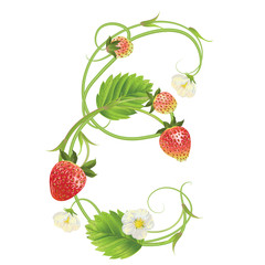 Letter A Strawberry font. Red Berry lettering alphabet. Fruits ABC