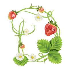 Letter A Strawberry font. Red Berry lettering alphabet. Fruits ABC