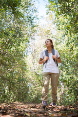 Woman traveler with backpack walking in forest, travel concept.