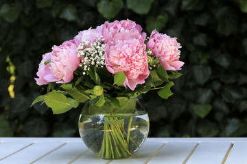 Pfingstrosen in einer Vase