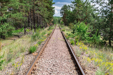 Railway track in the forest