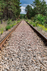Obraz premium Railway track in the forest