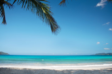 fantastic superb caribbean beach with palm trees. the breathtaking color of the sea. Vacation concept. Dominican Republic