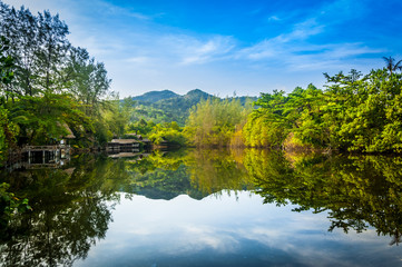 Fototapeta na wymiar Landscape view of reflection forest