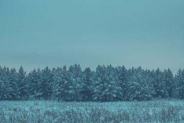 Зимний вид © andreswestrum