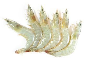 fresh shrimp/prawn on white background