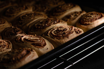 Cinnamon rolls during baking, high contrast, close up. - obrazy, fototapety, plakaty