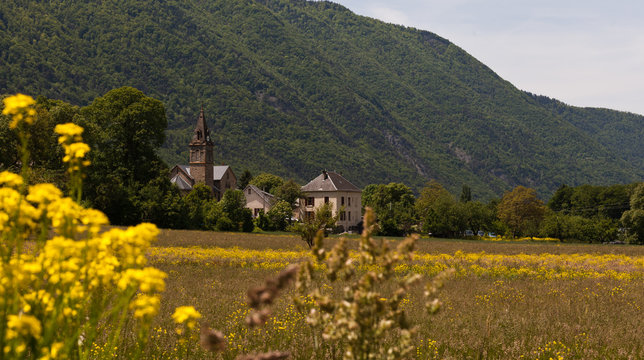 Village dans un champs de colza en France