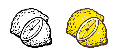 Hand drawn vector illustration of lemon. Outline and colored version