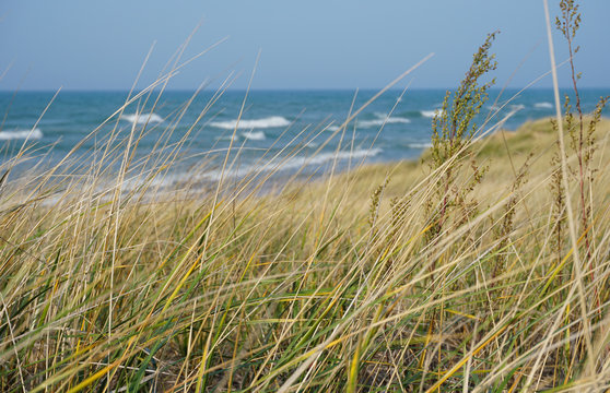 Shoreline