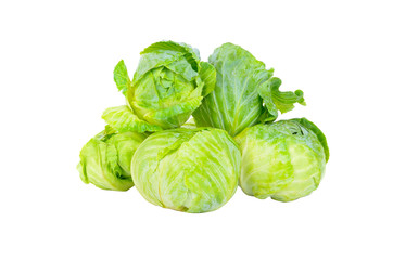cabbages isolated
