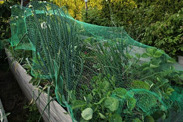 Hochbeet im Frühling mit Vogelschutznetz
