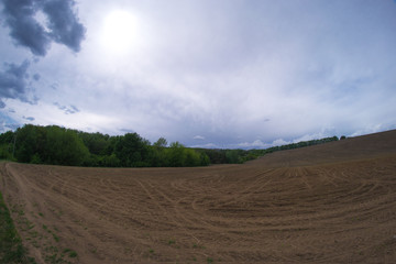 Spring field landscape on a sunny day fisheye.