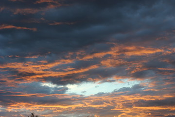 Fototapeta premium dark clouds at sunset with flying Swifts