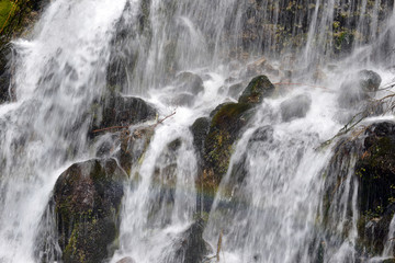 Fototapeta premium Cascading waterfall in coniferous forest, near Portland Oregon, environmental areas which are threatened by increasing development and pollution