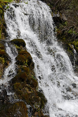 Cascading waterfall in coniferous forest, near Portland Oregon, environmental areas which are threatened by increasing development and pollution