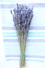 Beautiful lavender from the South of France