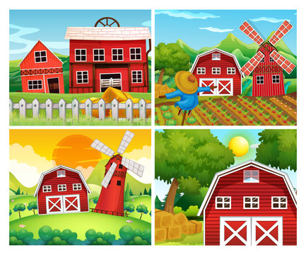 Four scenes of farmyards