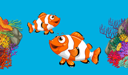 Fototapeta na wymiar Two clownfish swimming in ocean