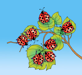 Ladybugs on leaves - jpg illustration