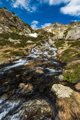 Cristal clear water in Pyrenees stream