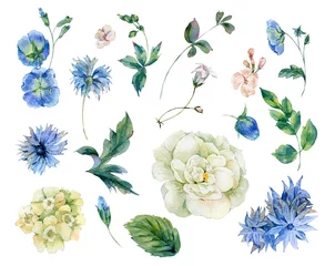 Set aus Aquarellrosen, Blättern und blauen Wildblumen © depiano