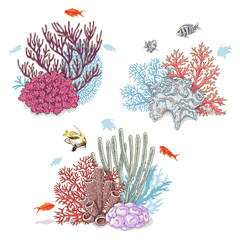 Naklejka premium Corals and Swimming Fishes