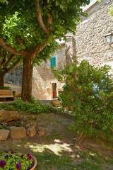 Fototapeta na wymiar Alley in old town , Tuscany Italy