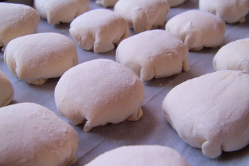 sweet cakes on the baking sheet, the dough on a baking sheet, the dough used to make fresh, homemade delicious muffins
