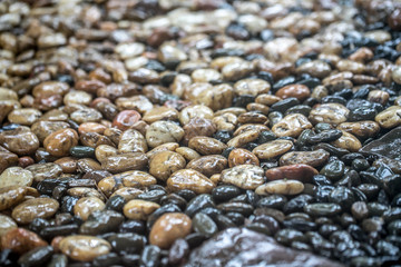 rainy on stone in the garden