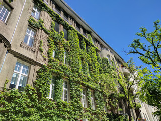 Fototapeta na wymiar Begrünte Hausfassade mit Kletterpflanzen