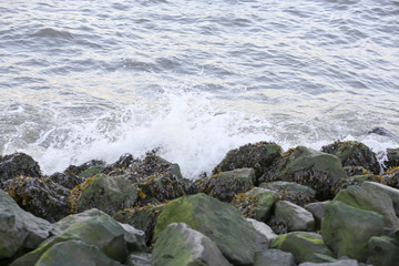 River/rock waves hitting rocks