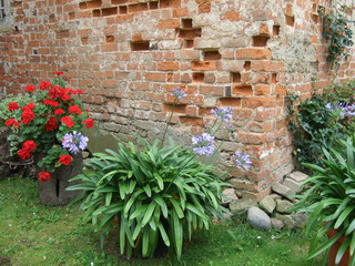 Fototapeta na wymiar Blumentöpfe im alten Hinterhof 