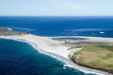 Fototapeta na wymiar Sealion Island der Falklands