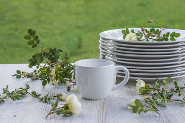 pile of white plates and white wild rose flowers on light wooden table outdoors
