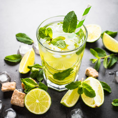 Mojito cocktail.Traditional summer cold drink.
