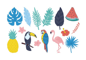 Tropical summer set. Hand drawing vector elements isolated on white background