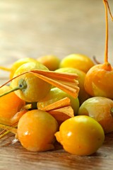 Orange ripe ginkgo bilboa fruits on woody table desk.