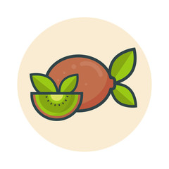 cartoon kiwi fruit icon