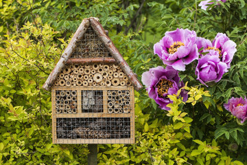 Fototapeta na wymiar Insect house in a summer garden