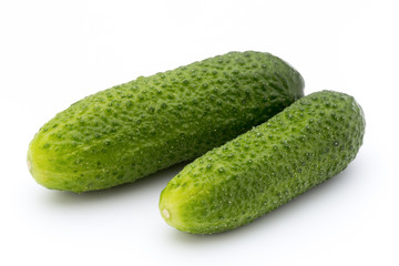 The first spring ecologically cucumbers.