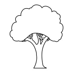 Beautiful tree isolated icon vector illustration graphic design