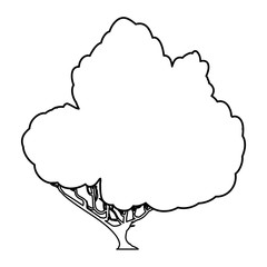 Beautiful tree isolated icon vector illustration graphic design
