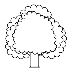 Beautiful tree isolated icon vector illustration graphic design